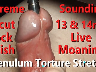 Extreme 13Mm & 14Mm Sounding Close-Up Fetish Frenulum Torture Live Moaning